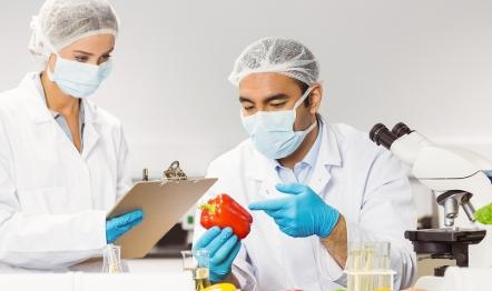 Captura de pantalla 2025-11-01 180243